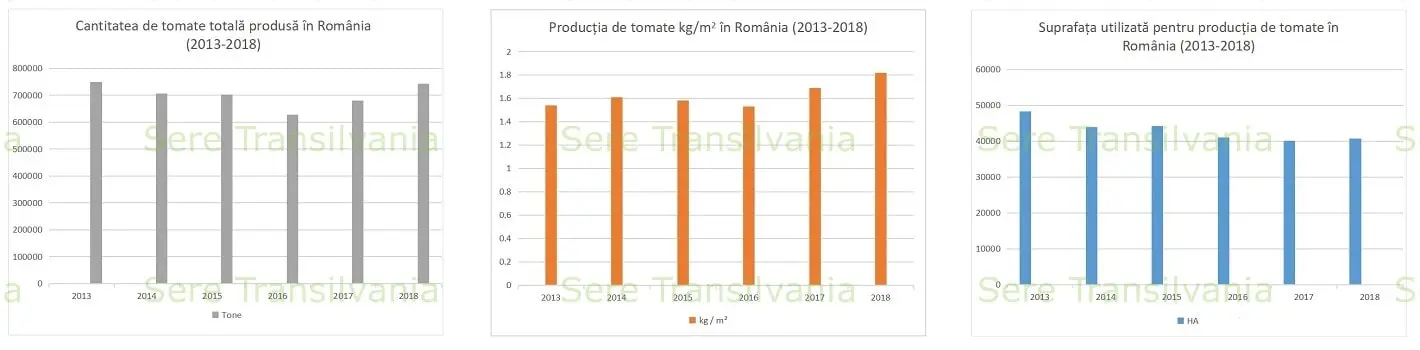 grafic productia de rosii in Romania